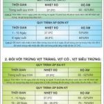 Nên để nhiệt độ máy ấp trứng cho gà là bao nhiêu?