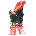 Gà đông tảo giống chân khủng