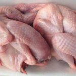 Thịt chim bồ câu