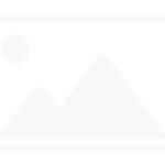 “Chạy đua vũ trang” ở cơ quan sinh dục của vịt