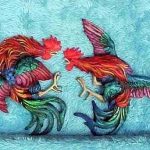 Cách chọn gà chọi đá hay, xem vảy chân gà "độc"