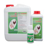 Cách làm cho gà mái nhanh đẻ, trứng to, đạt đỉnh