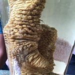 Mách mẹ cách làm sạch chân gà Đông Tảo cực đơn giản