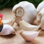 Cách Trị Bệnh Gà Rù Bằng Tỏi Hiệu Quả Nhất