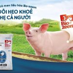 Bảng giá cám con cò. Địa chỉ bán cám con cò số lượng lớn trên cả nước