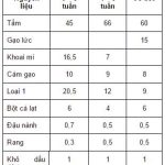 Hướng dẫn chăn nuôi vịt thịt đạt hiệu quả kinh