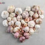 Củ tỏi trị bệnh gì? Ăn tỏi sống có tác dụng gì không?