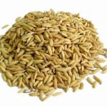 Cho Gà Ăn Gì Mau Sung – 4 Loại Thức Ăn Cho Chiến Kê Hăng Máu