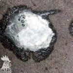 Gà ỉa phân trắng, phân xanh là bệnh gì? Cách điều trị và phòng bệnh