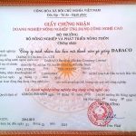 &nbsp;&nbsp;&nbsp;&nbsp;&nbsp;&nbsp;&nbsp;&nbsp;&nbsp;&nbsp; J- DABACO l&agrave; giống g&agrave; đươc c&ocirc;ng ty nghi&ecirc;n cứu, lai tạo, l&agrave; sản phẩm  t&iacute;ch hợp của những c&ocirc;ng nghệ ti&ecirc;n tiến nhất về di truyền, giống v&agrave; những  tinh hoa cổ truyền của nhiều giống g&agrave; đặc sản của Việt Nam.