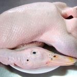 Bảng báo giá vịt trời giá rẻ nhất hiện nay