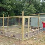 Kích Thước Chuồng Gà Chọi Và Mô Hình Chuồng Gà Phổ Biến