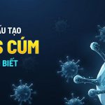 Virus cúm là gì? Các chủng virus cúm phổ biến và đặc điểm cấu tạo