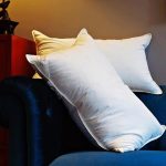 Gối lông ngỗng là gì? Những lưu ý khi sử dụng gối lông ngỗng?