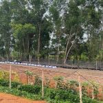 Mô Hình VAC Cho Đất Nông Nghiệp Diện Tích Nhỏ - Vườn Quê Việt