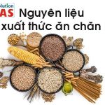 NGUYÊN LIỆU SẢN XUẤT THỨC ĂN CHĂN NUÔI