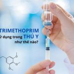 Nguyên tắc khi sử dụng kháng sinh thú y nhất định phải biết