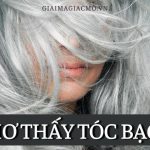 Nuôi Tắc Kè Trong Nhà Có Tốt Không ❤️️Tiếng Tắc Kè Kêu Trong Nhà