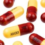 Thuốc thú y amoxicillin – Top 5 sản phẩm tốt nhất