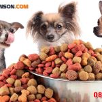 Thức ăn vật nuôi là gì? Nguồn gốc và thành phần dinh dưỡng