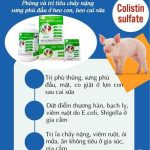 Các loại thuốc đặc trị tiêu chảy ở heo tốt nhất