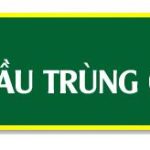 Bệnh cầu trùng ở gà | Nguyên nhân, tác hại, cách điều trị hiệu quả nhất