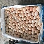 Trứng gà ác đắt gấp đôi trứng thường: Tiểu thương chỉ cách chọn hàng chuẩn