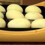 Trứng ngỗng ấp bao nhiêu ngày thì nở ? Cách ấp trứng ngỗng bằng máy