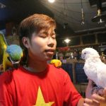 Thú chơi vẹt đuôi dài đắt đỏ nhất thế giới ở Hà Nội