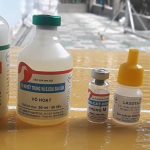 Hướng dẫn cách tiêm vacxin cho gà