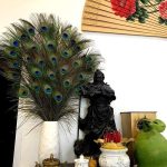 Lông công phong thủy có ý nghĩa gì? Cách cắm lông công đúng