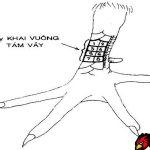 14 Vảy gà chọi xấu, 6 tướng vảy gà đá xấu