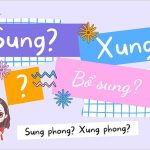 Sung hay Xung? Khi nào dùng từ nào? Bổ sung hay Bổ xung?
