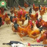 Bài viết liên quan